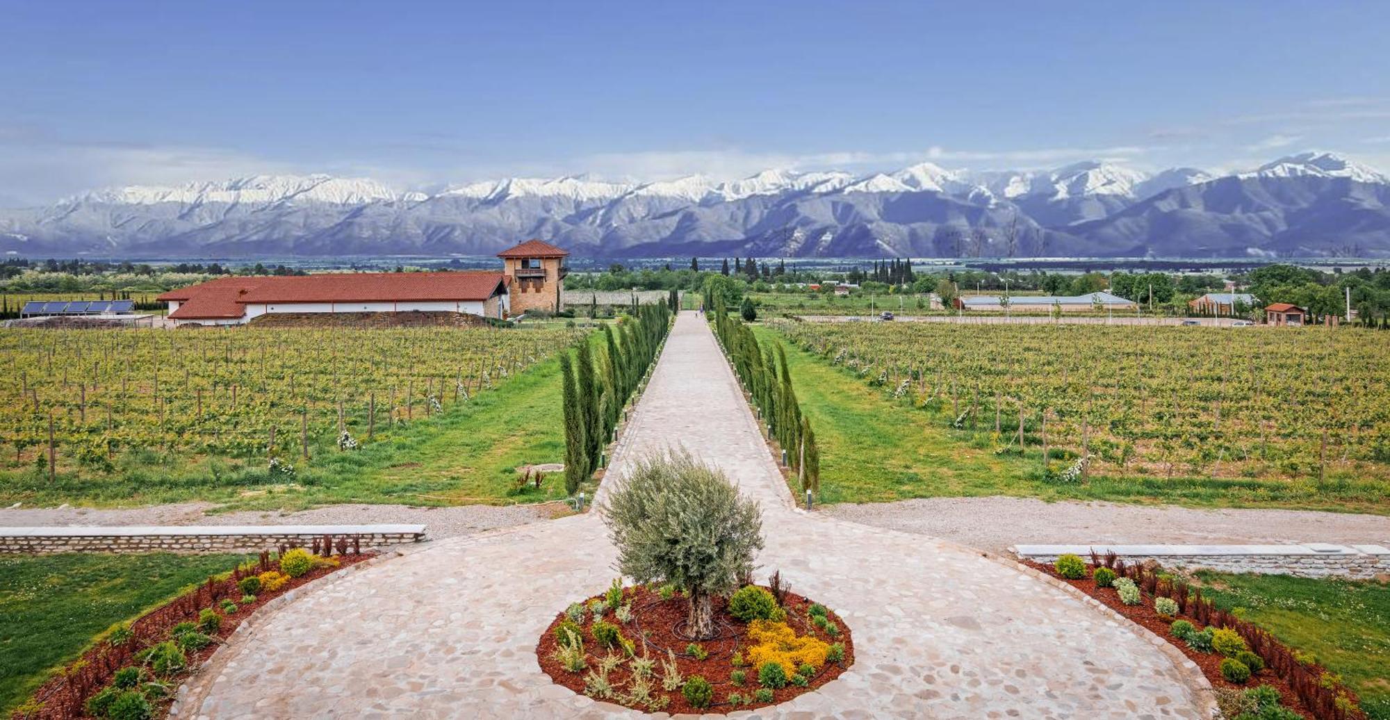 Chateau Mosmieri Hotel & Winery Telavi Eksteriør billede